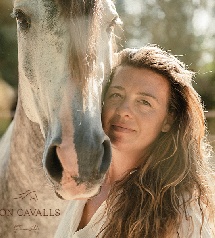 Portal Related Image