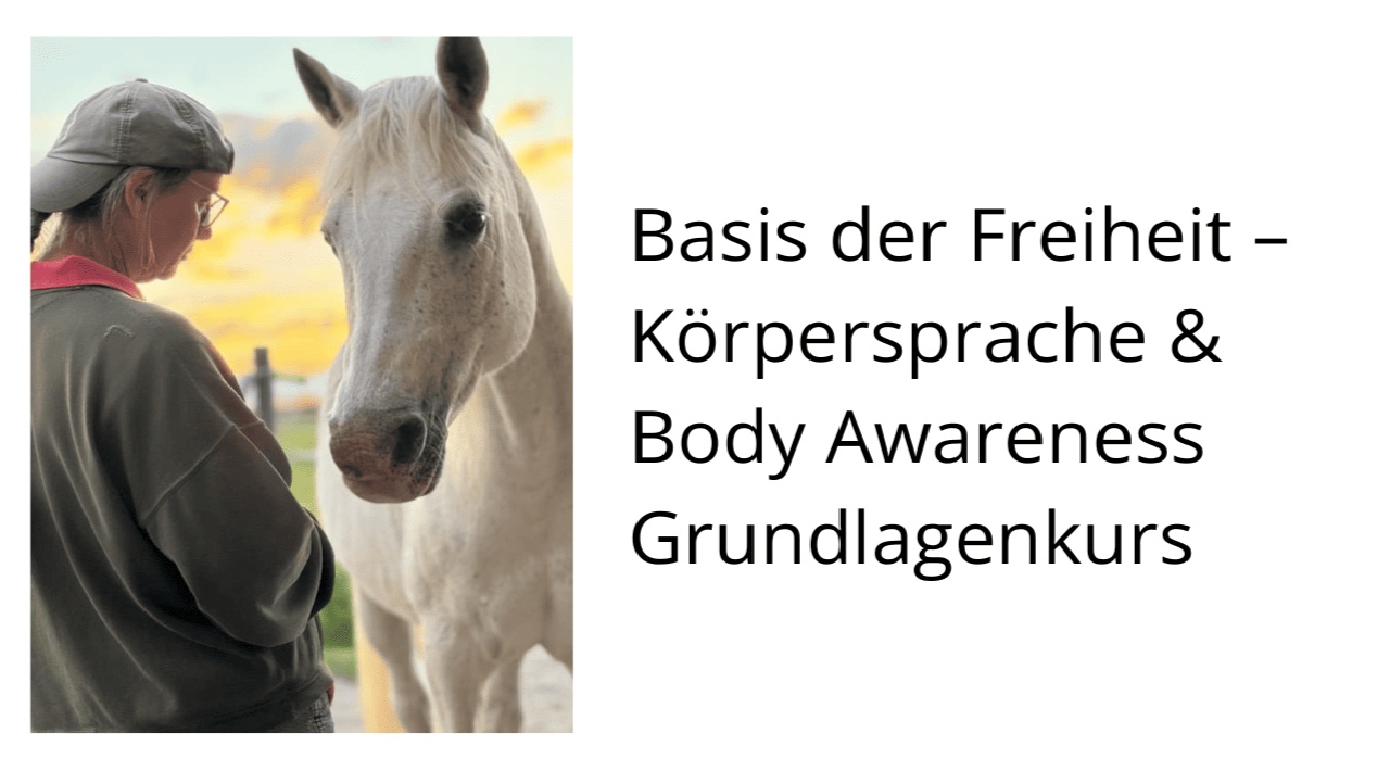 Portal Related Image