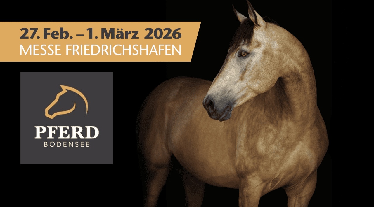 Portal Related Image