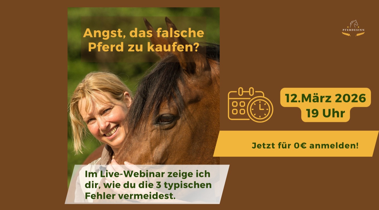 Portal Related Image