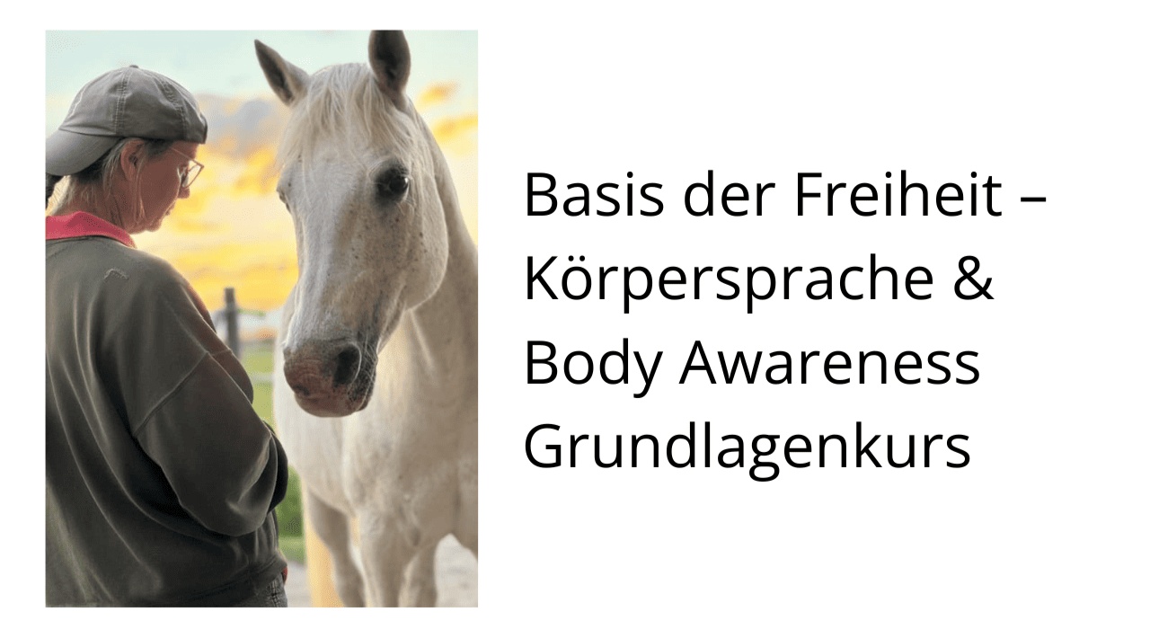 Portal Related Image