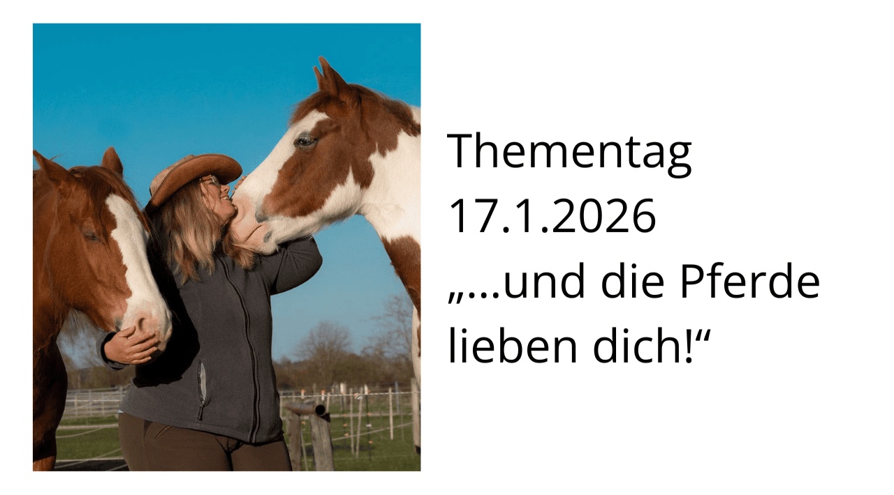 Portal Related Image