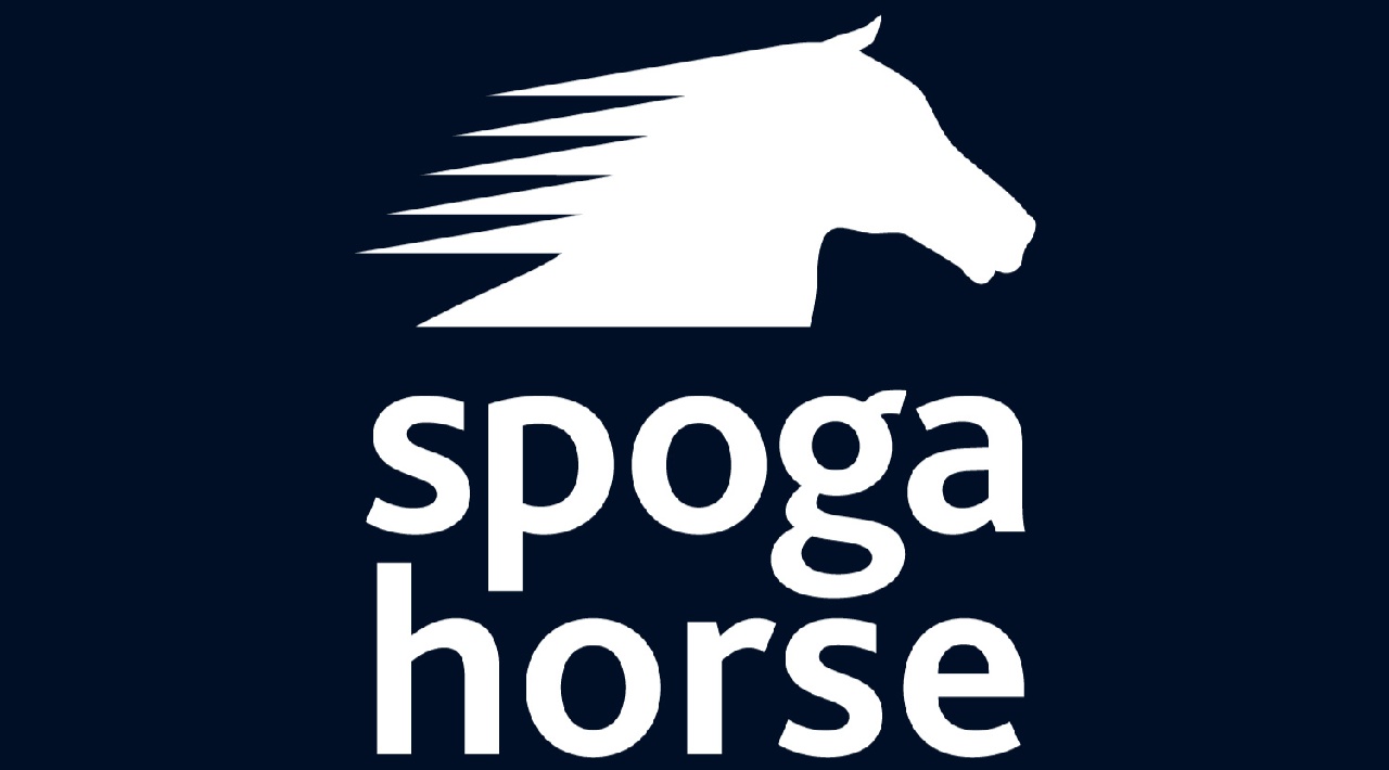 Portal Related Image