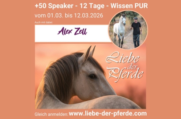 Portal Related Image