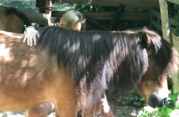 Portal Related Image