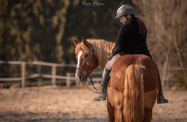 Termine / Kurse / Veranstaltungen - Einzelcoaching für Reiter und Pferdebesitzer 