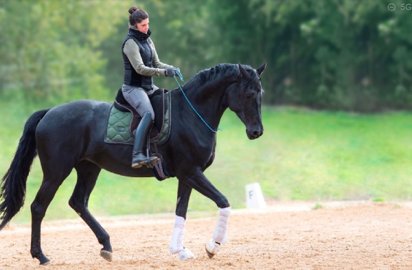 Portal Related Image