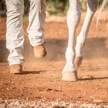 Portal Related Image