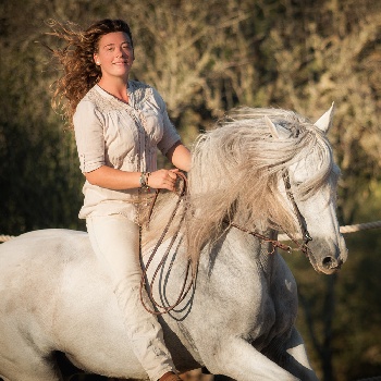 Portal Related Image