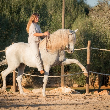 Portal Related Image