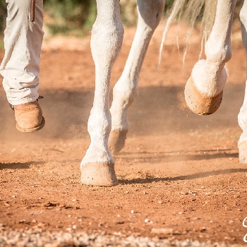 Portal Related Image