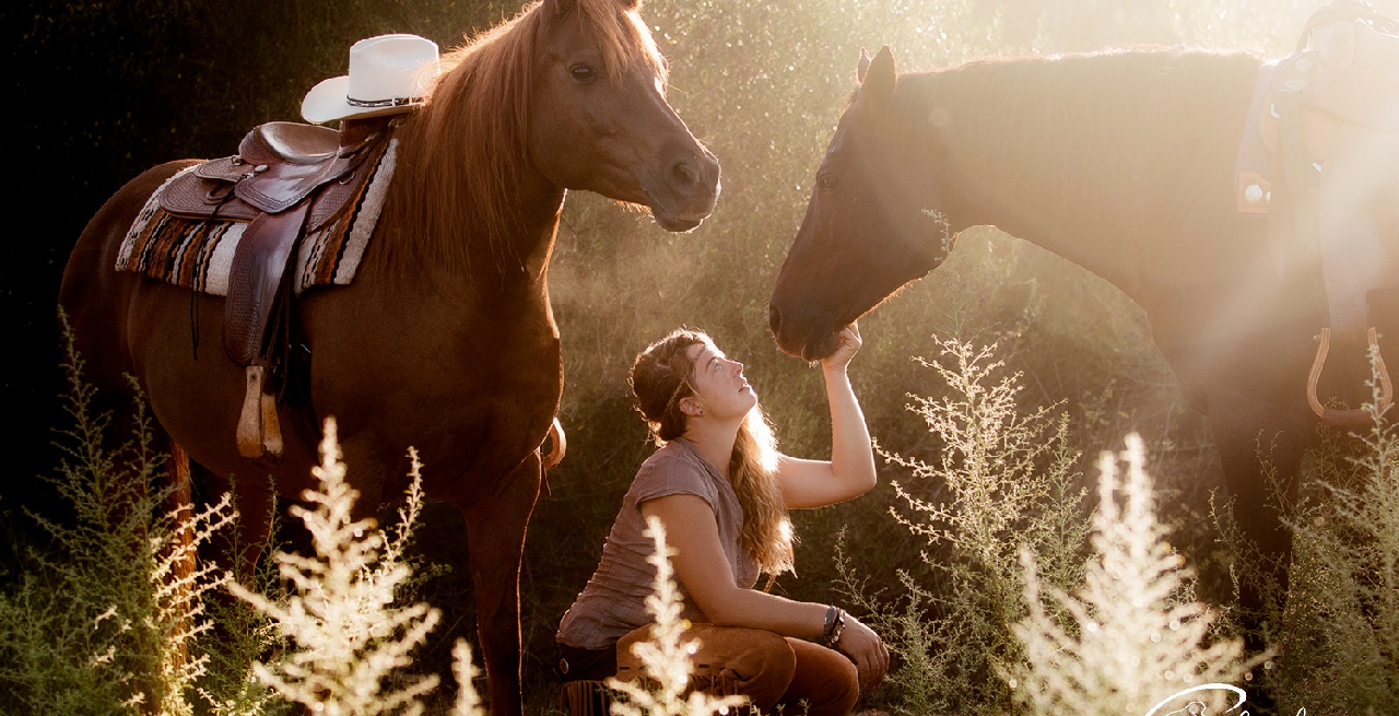 Portal Related Image