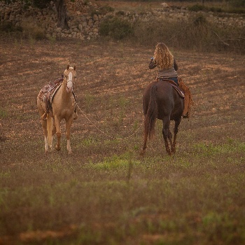 Portal Related Image