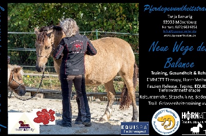 Portal Related Image