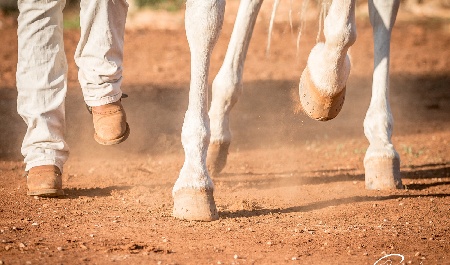 Portal Related Image