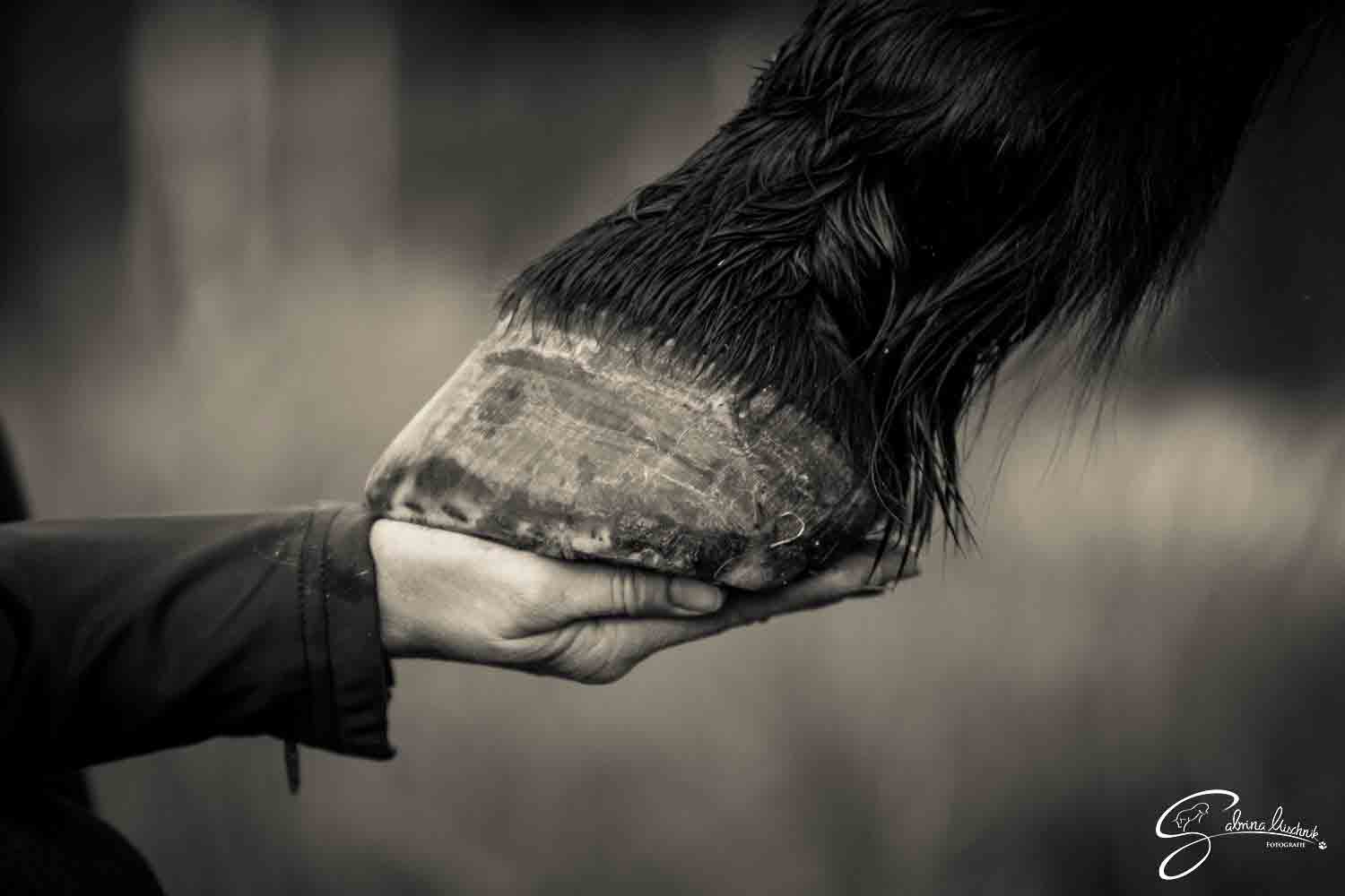 Portal Related Image