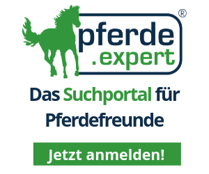 Portal Related Image