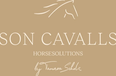 Portal Related Image