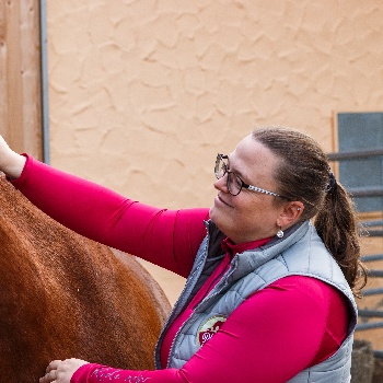 Portal Related Image