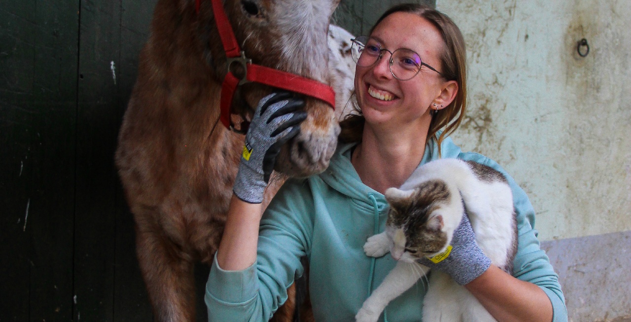 Portal Related Image