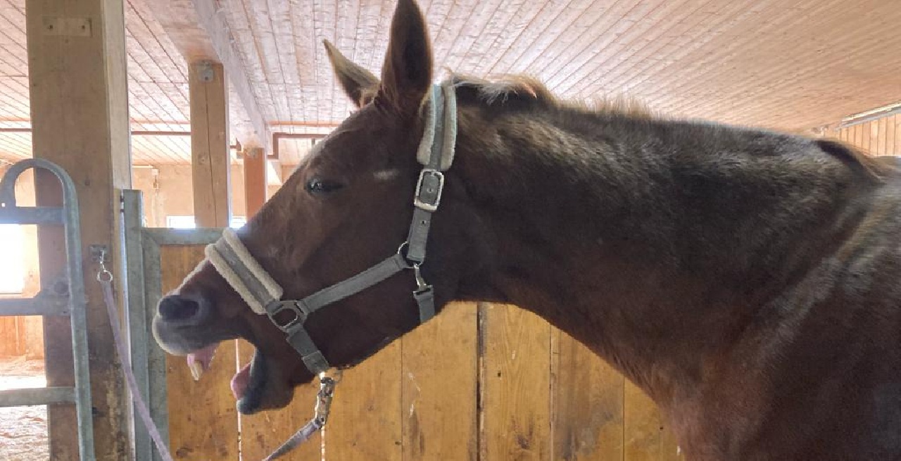 Portal Related Image