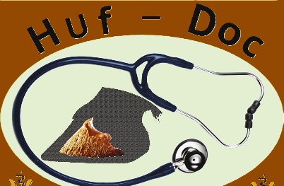 Portal Related Image