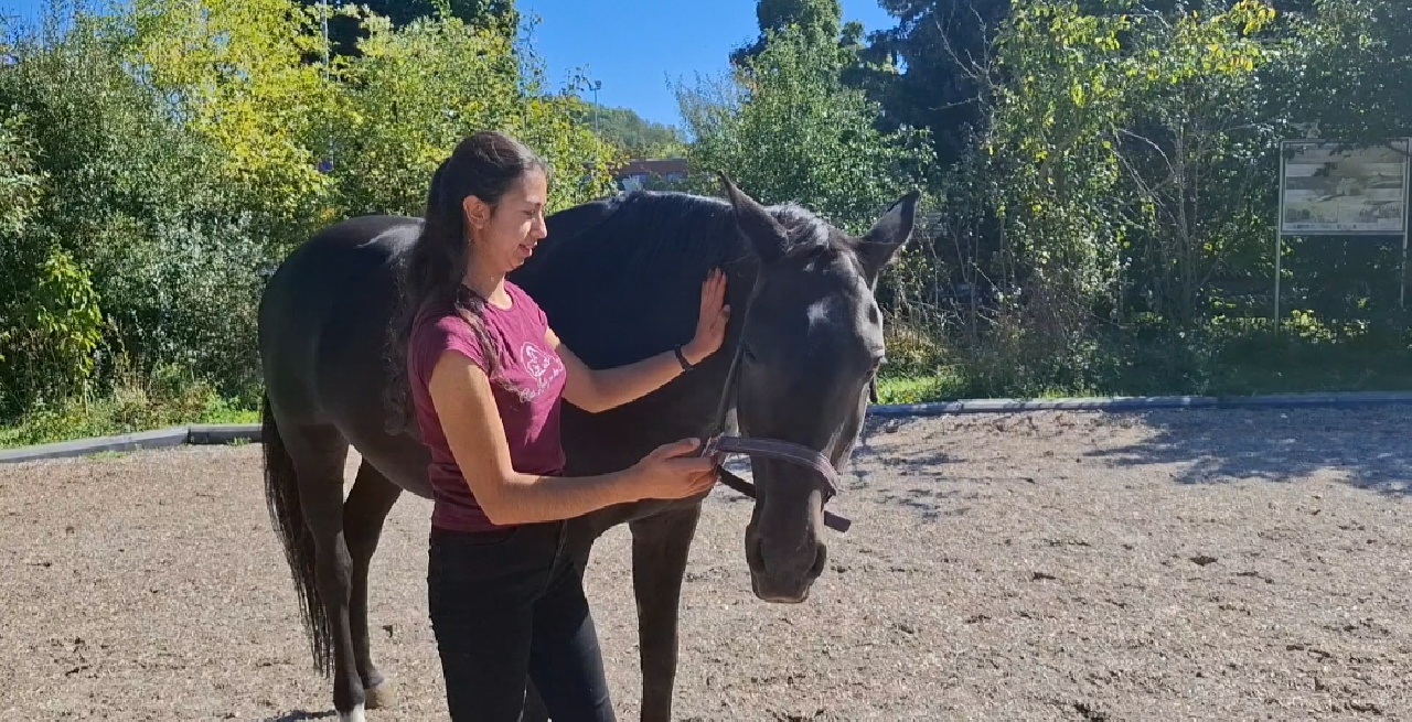 Portal Related Image