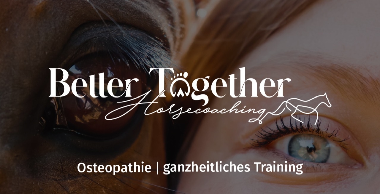 Portal Related Image