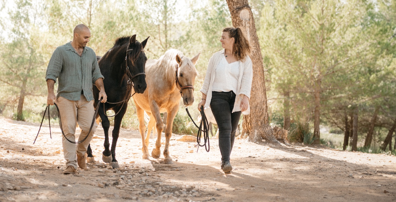 Portal Related Image