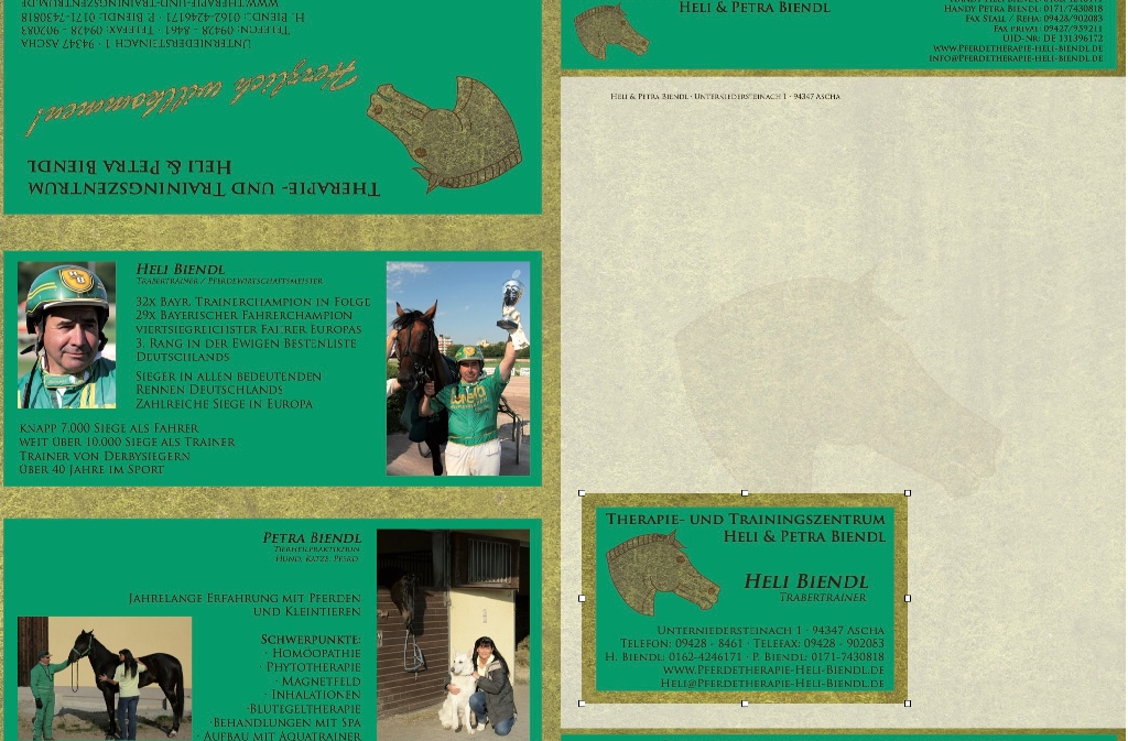 Flyer vorne - Briefbogen - Visitenkarte