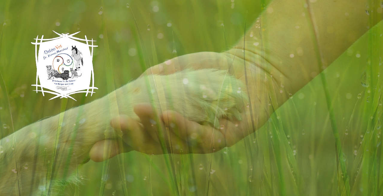 Portal Related Image