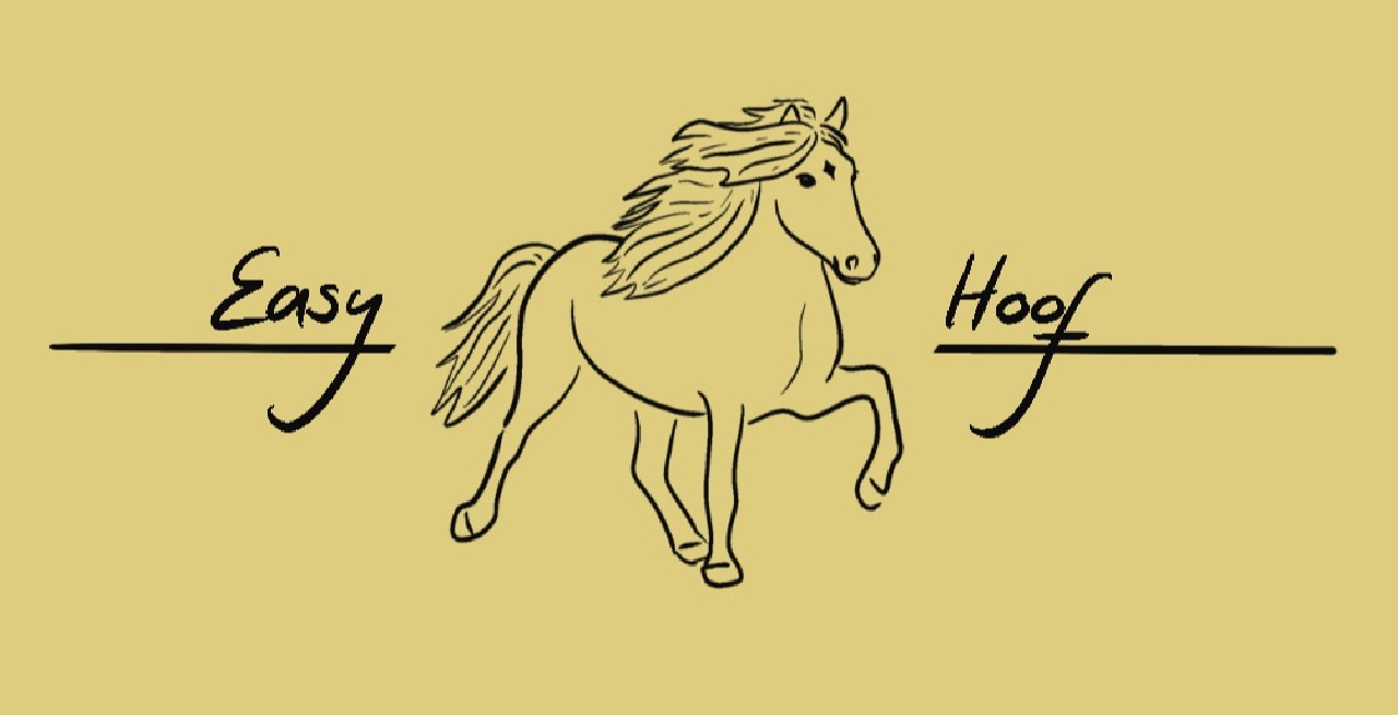 Portal Related Image