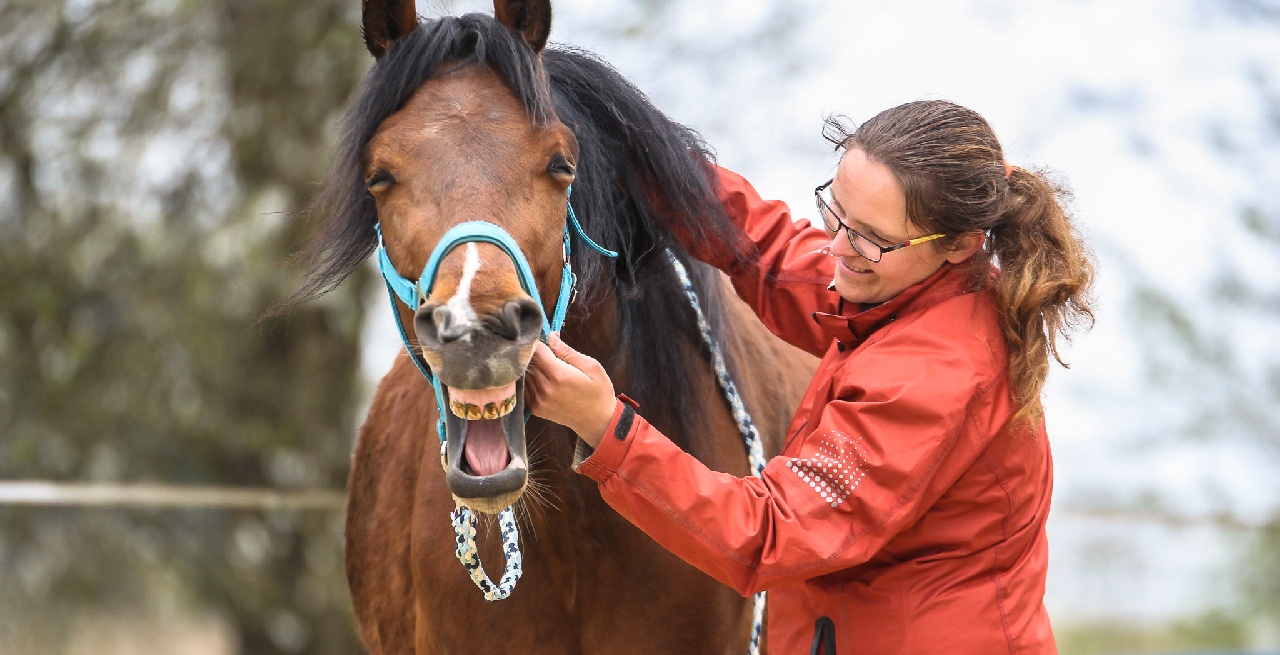 Portal Related Image