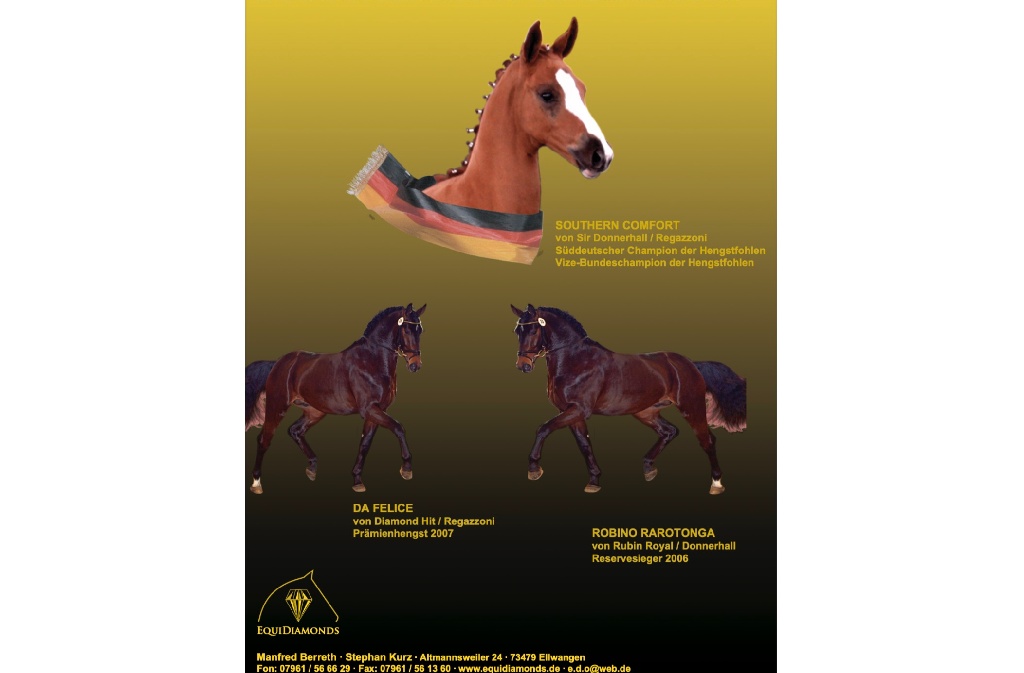 Flyer zur Körung / EquiDiamonds