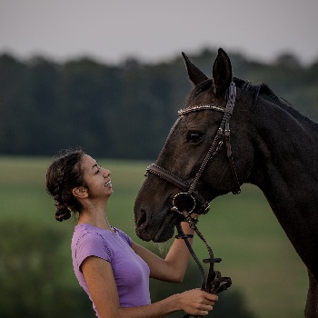 Portal Related Image