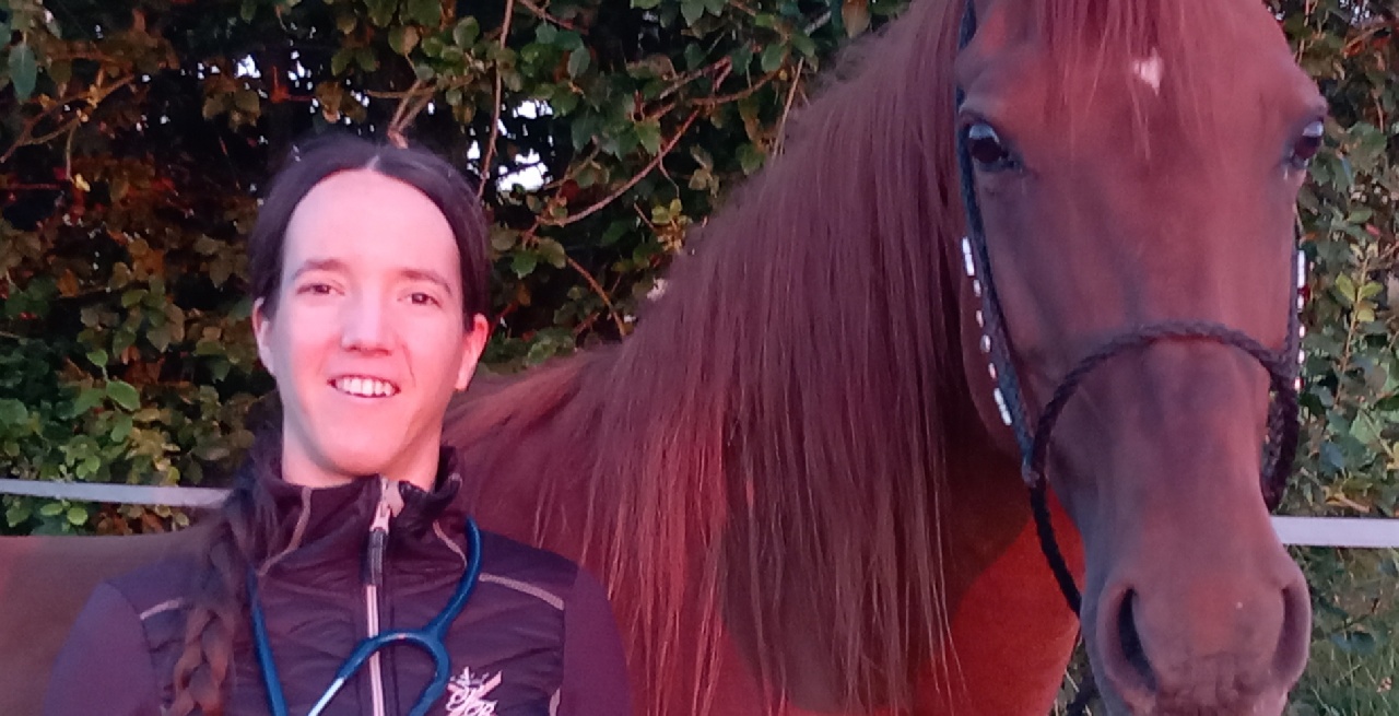 Portal Related Image