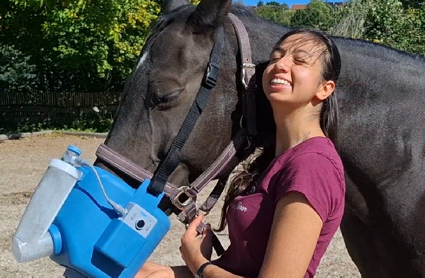 Portal Related Image