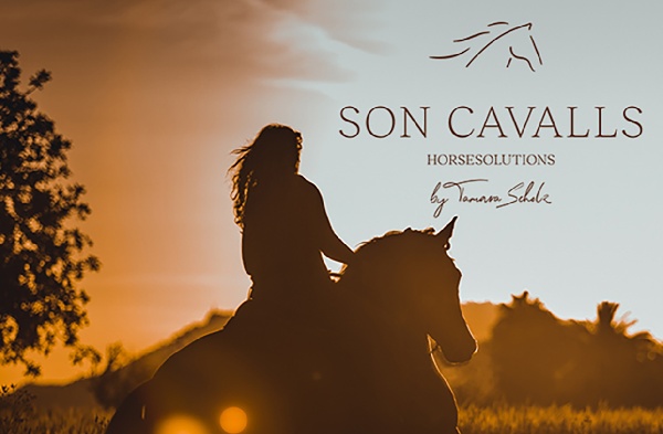 Portal Related Image