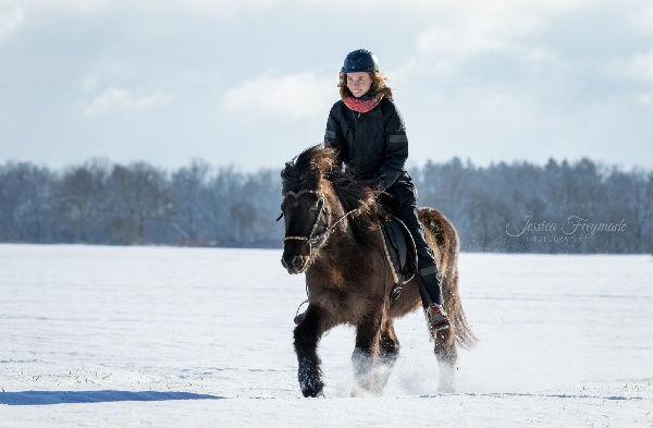 Portal Related Image