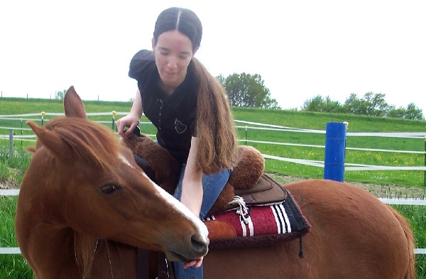 Portal Related Image