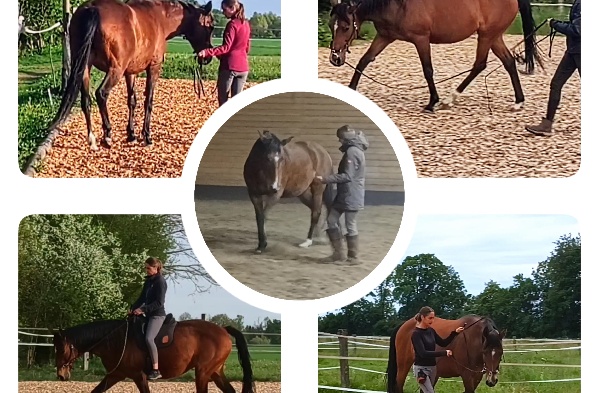 Portal Related Image