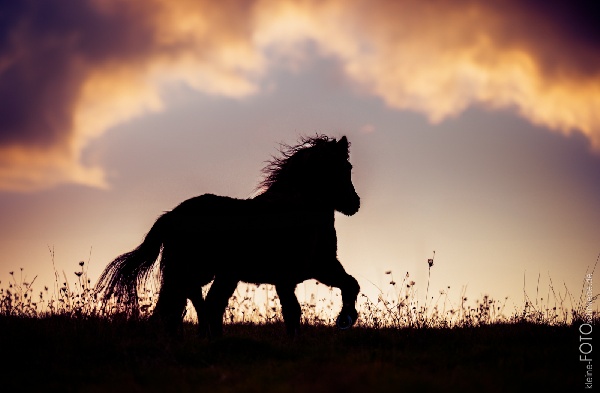 Portal Related Image