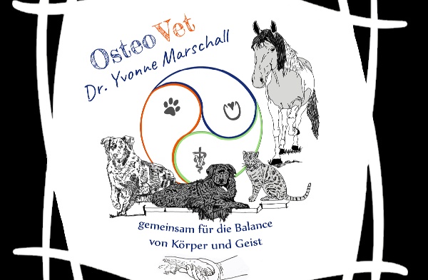 Portal Related Image