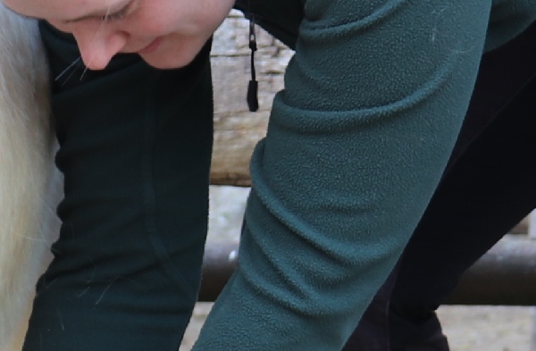 Portal Related Image