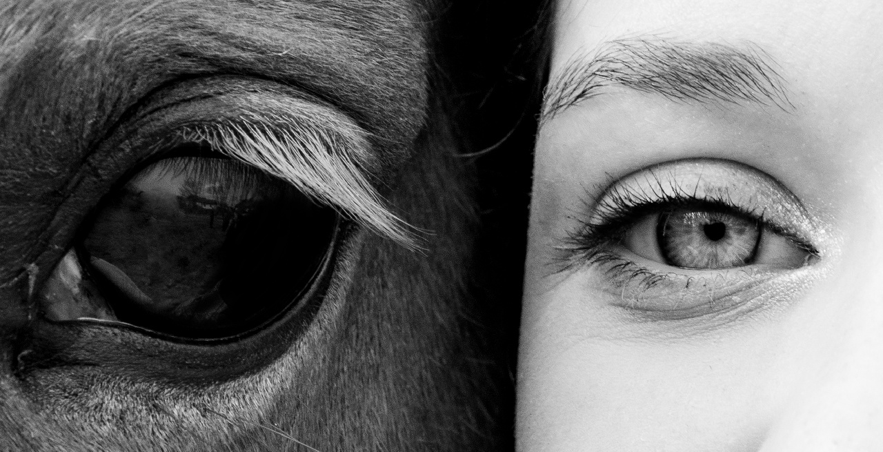 Portal Related Image