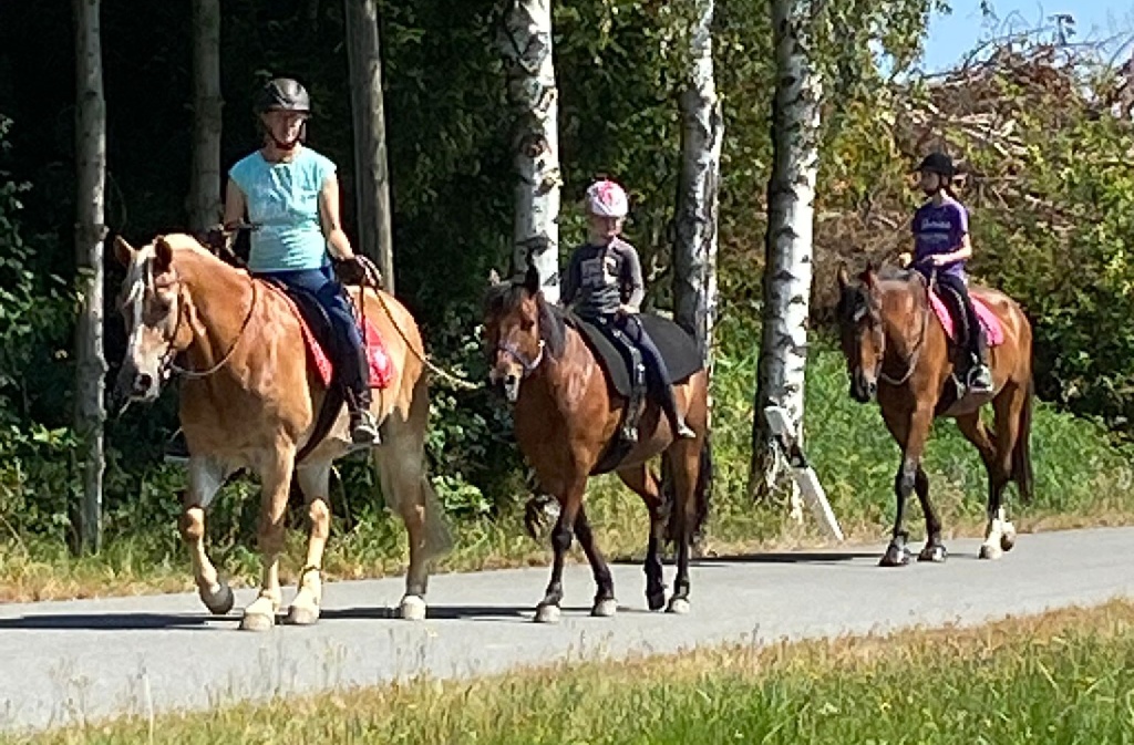 Ausreiten mit Handpferd 