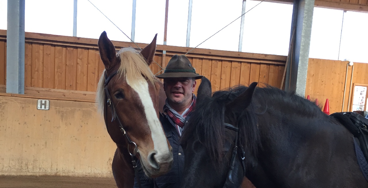 Portal Related Image