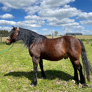 Portal Related Image