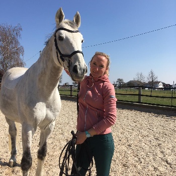 Portal Related Image