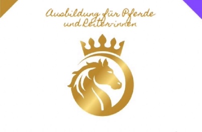 Portal Related Image